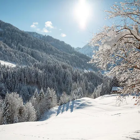 Am Sonnenhang Hirschegg (Vorarlberg)